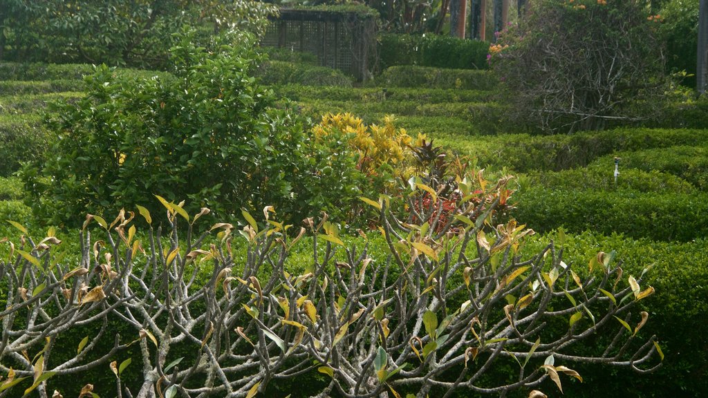 Na Aina Kai Botanical Gardens showing a park