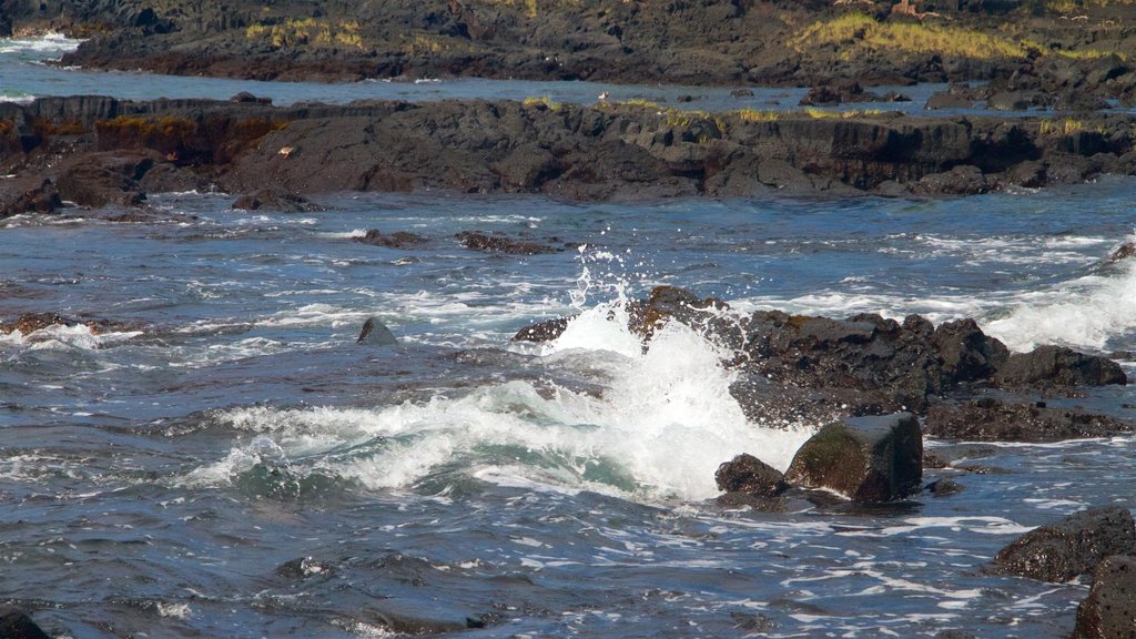 Keaukaha Beach Park mostrando paisagens litorâneas e litoral acidentado