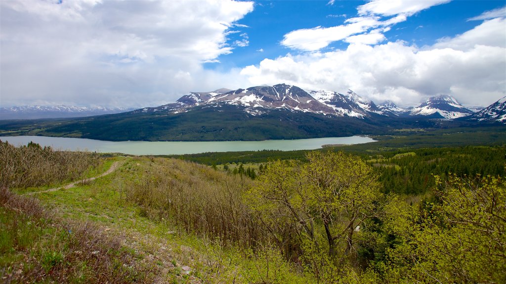 Glacier National Park showing mountains, tranquil scenes and a river or creek