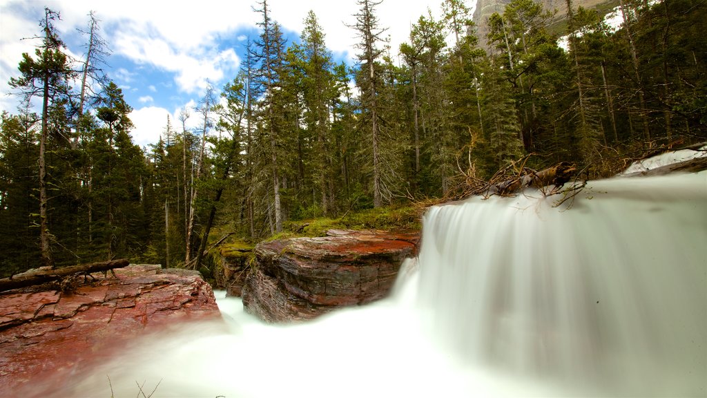 Nationaal park Glacier inclusief een rivier of beek en bossen