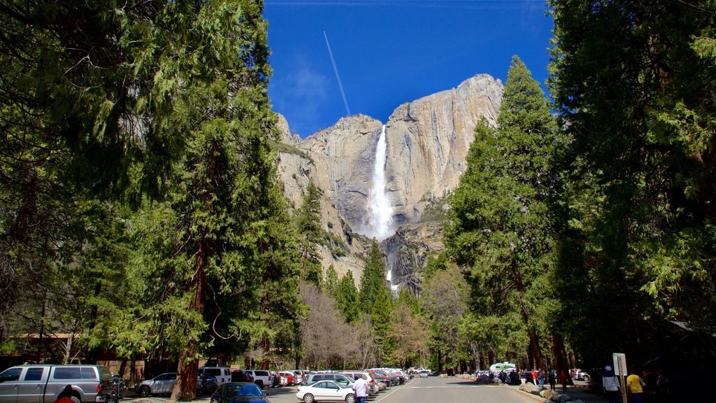 Yosemite Lodge Amphitheater featuring a waterfall and forest scenes