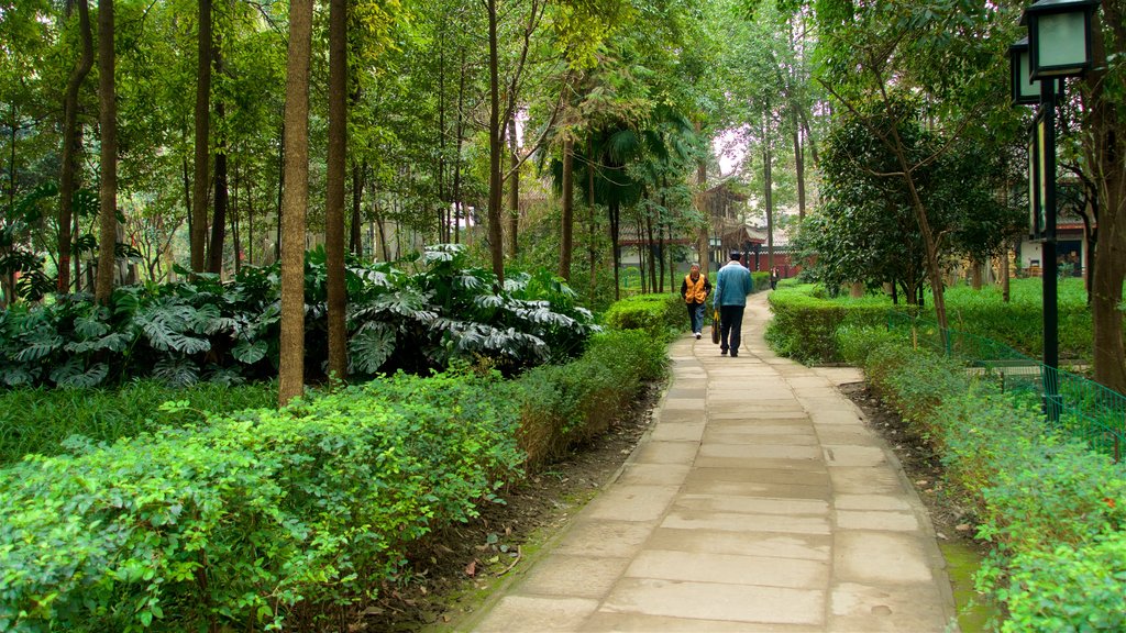 Mosteiro de Wenshu mostrando um parque