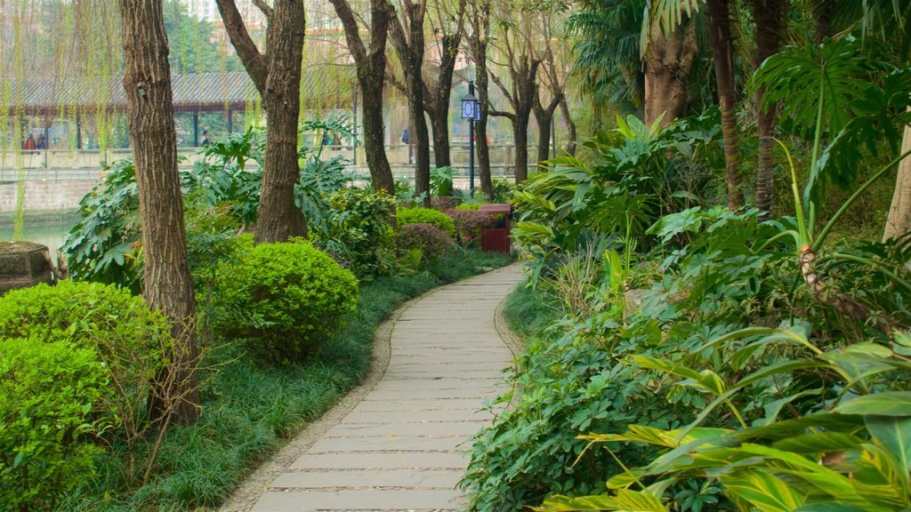 Baihuatan Park featuring a garden