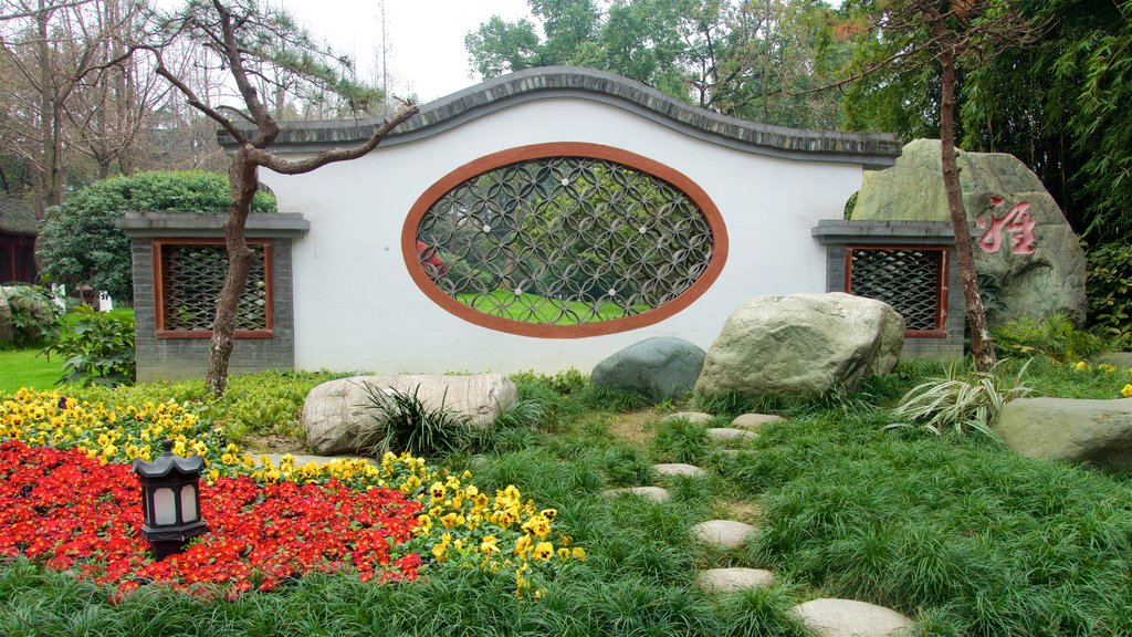 Baihuatan Park showing a garden and flowers