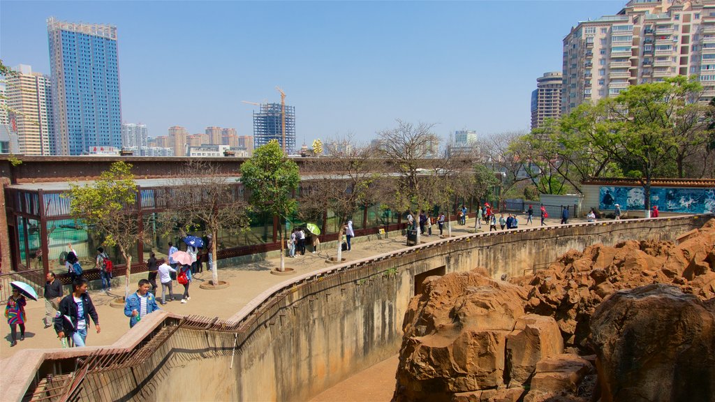 Kunming Zoo showing a skyscraper and a city as well as a small group of people