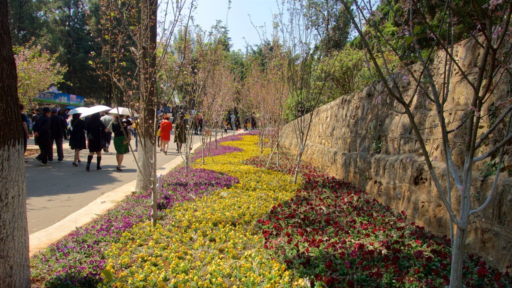 Zoológico de Kunming mostrando flores e um jardim assim como um pequeno grupo de pessoas