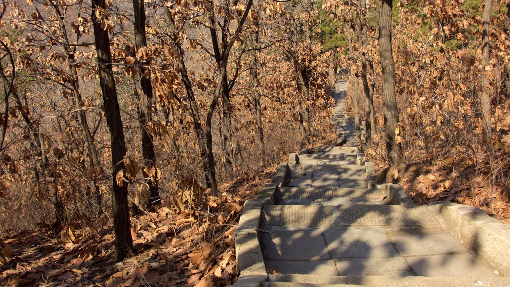 Jinshanling Great Wall featuring autumn colours and a garden