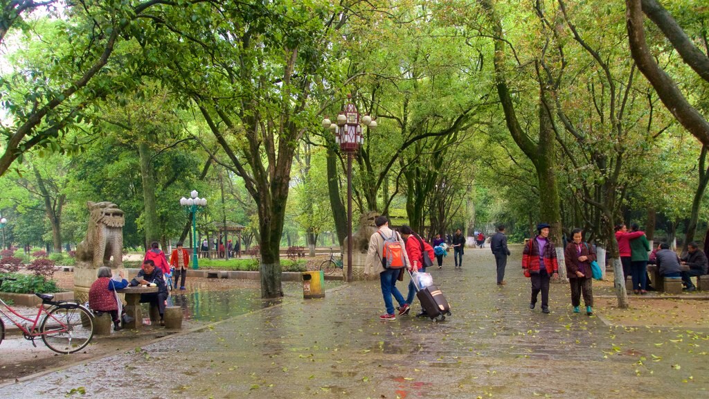 Yangshuo Park mostrando jardín y también un pequeño grupo de personas