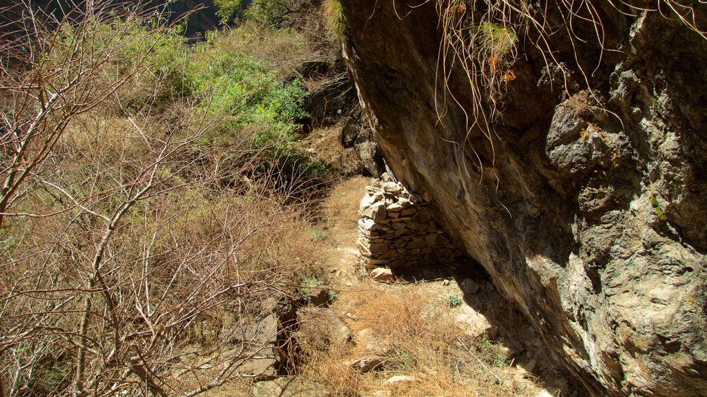 Cañón del Salto del Tigre