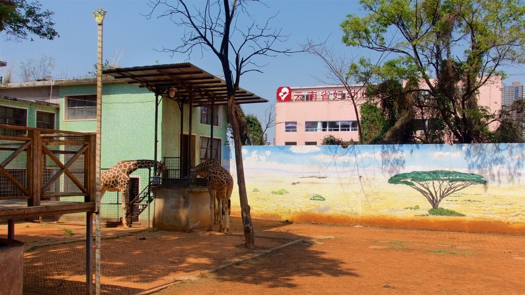 Kunming Zoo