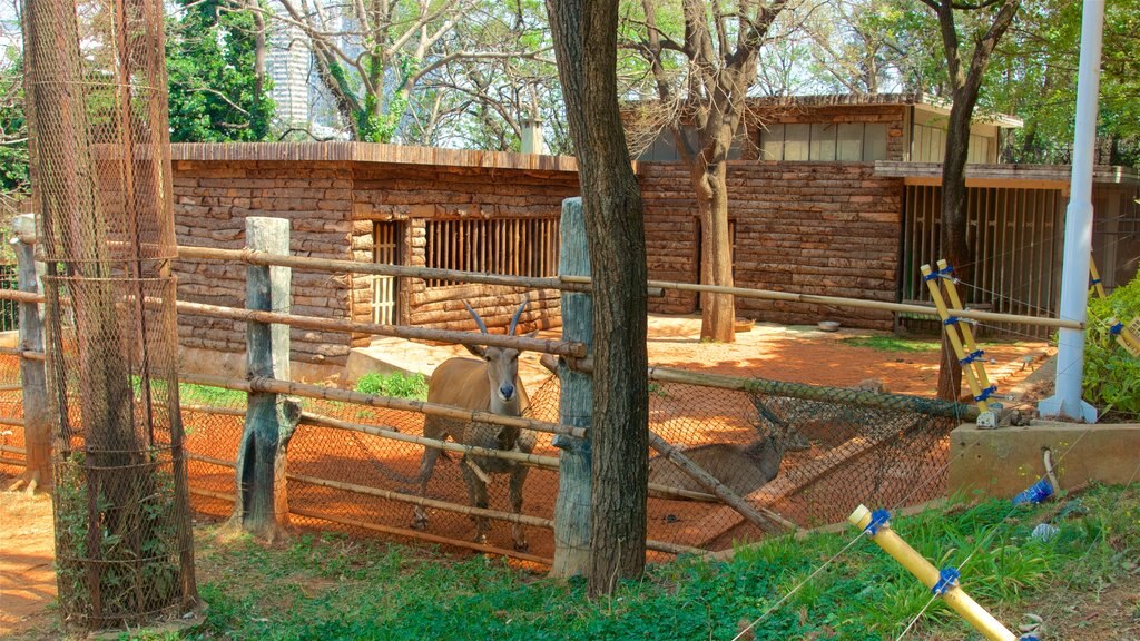 昆明動物園