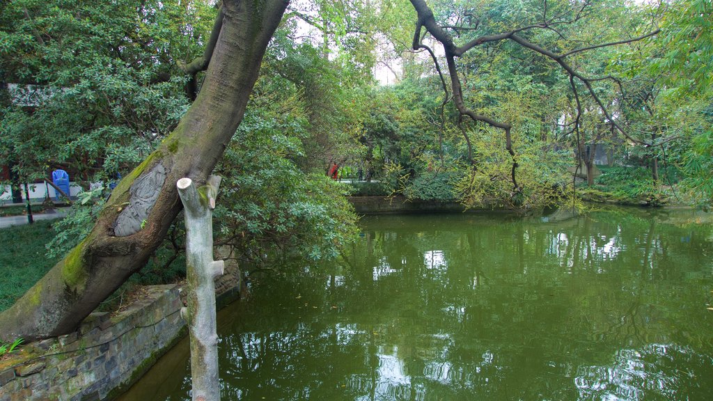 Chengdu