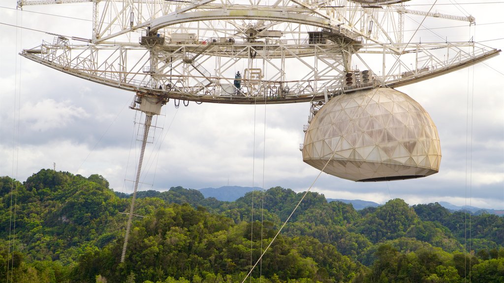 Arecibo Observatorium