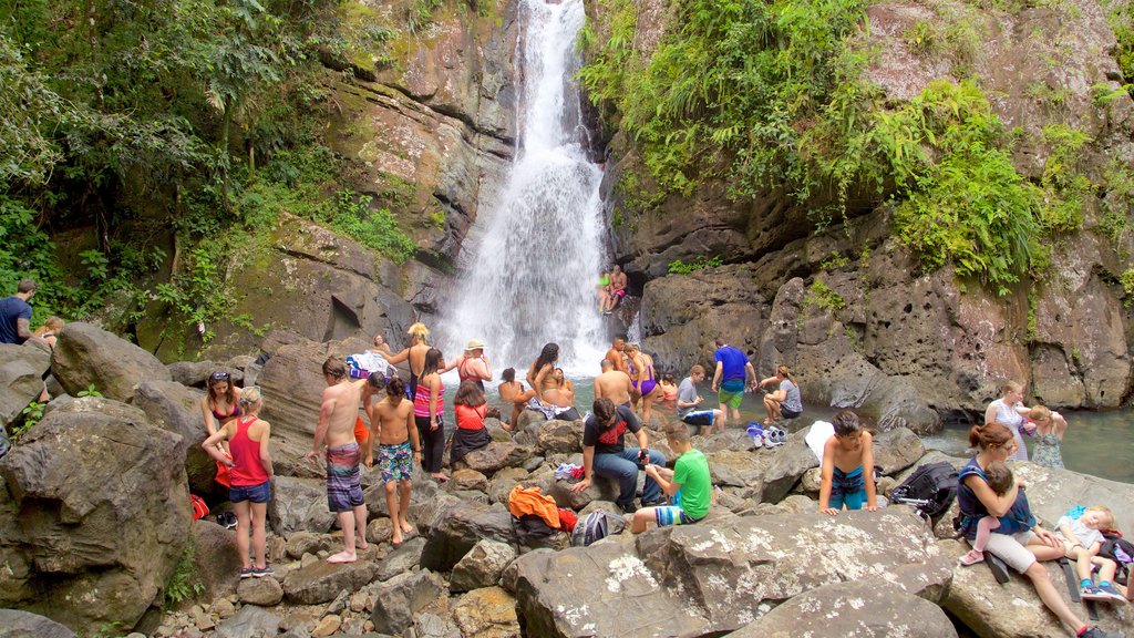 Cascade de La Mina