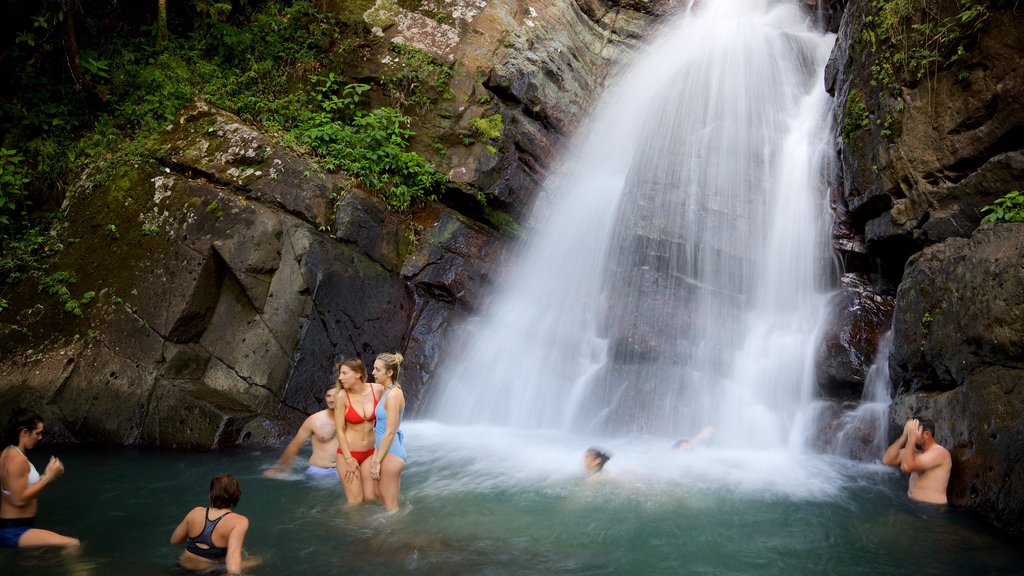 Cascade de La Mina