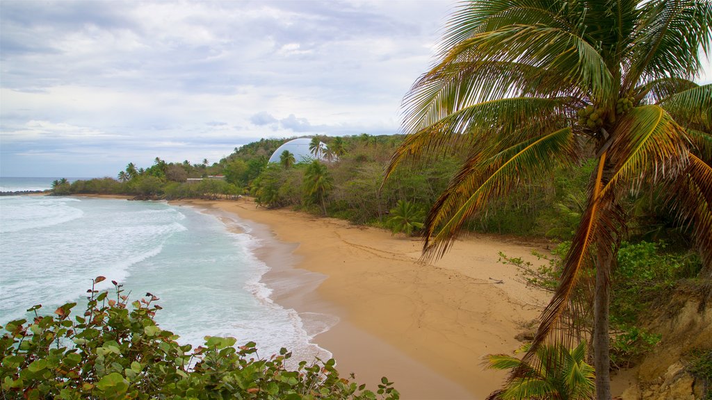 Domes Beach