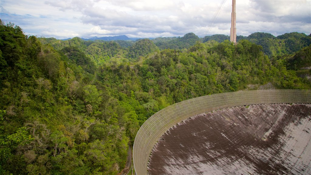 Arecibon observatorio