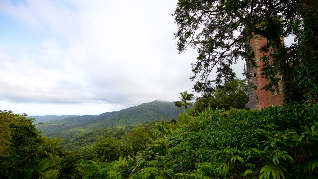 Yokahu Tower