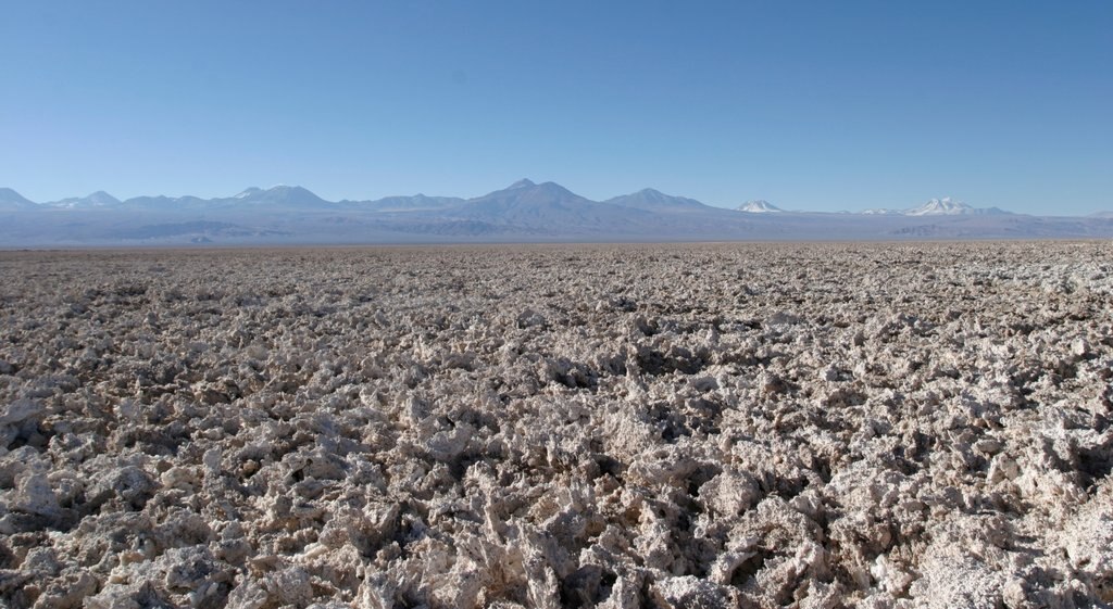 Altiplanic Lagoons