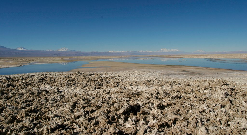 Altiplanic Lagoons