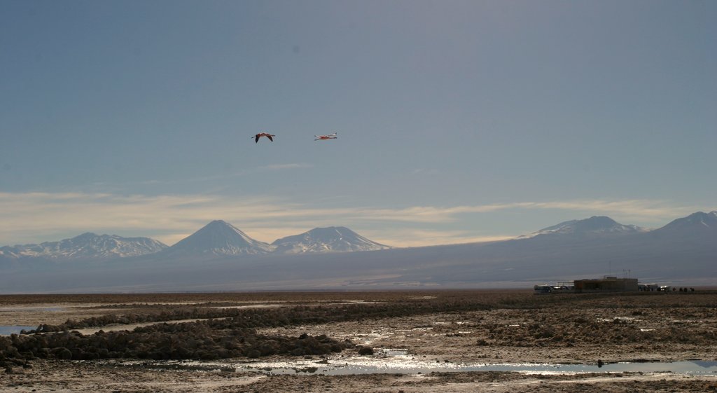 Altiplanic Lagoons