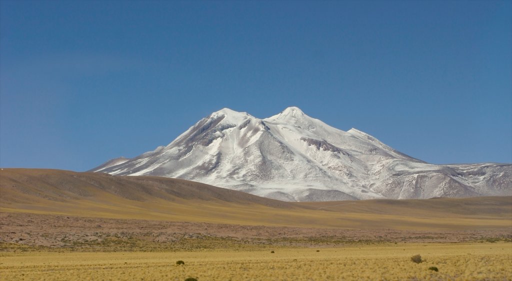 Altiplanic Lagoons