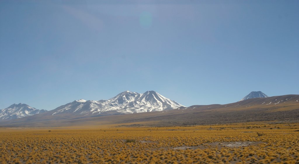 Altiplanic Lagoons