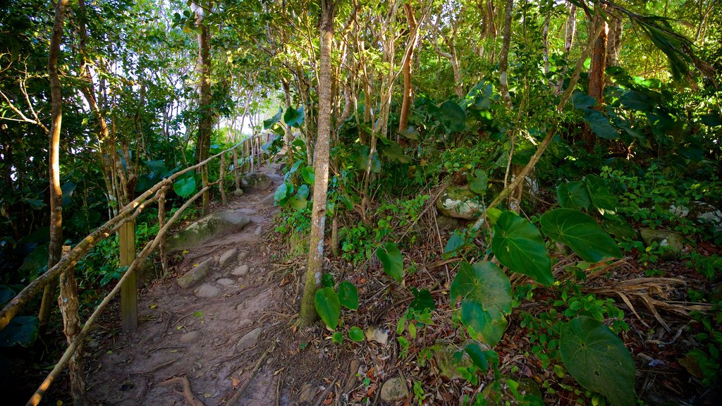 Sentier de randonnée Tet Paul