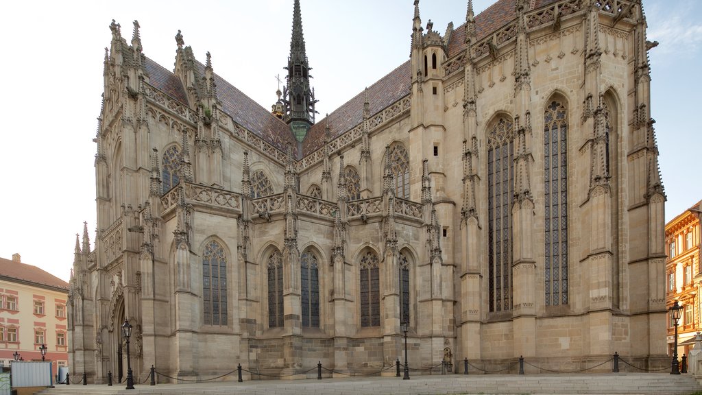 Cattedrale di Santa Elisabetta