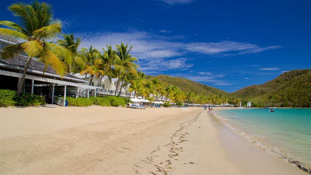 Carlisle Beach which includes tropical scenes, a beach and general coastal views