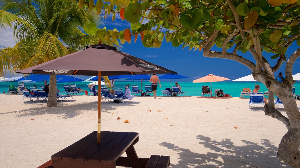 Valley Church Beach showing a beach, general coastal views and tropical scenes