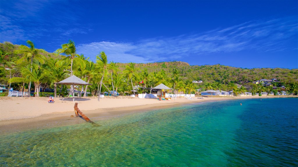 Galleon Beach which includes general coastal views, tropical scenes and a sandy beach