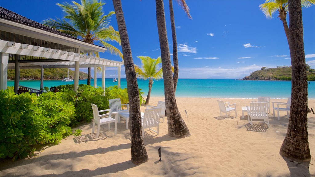 Carlisle Beach which includes tropical scenes, general coastal views and a sandy beach