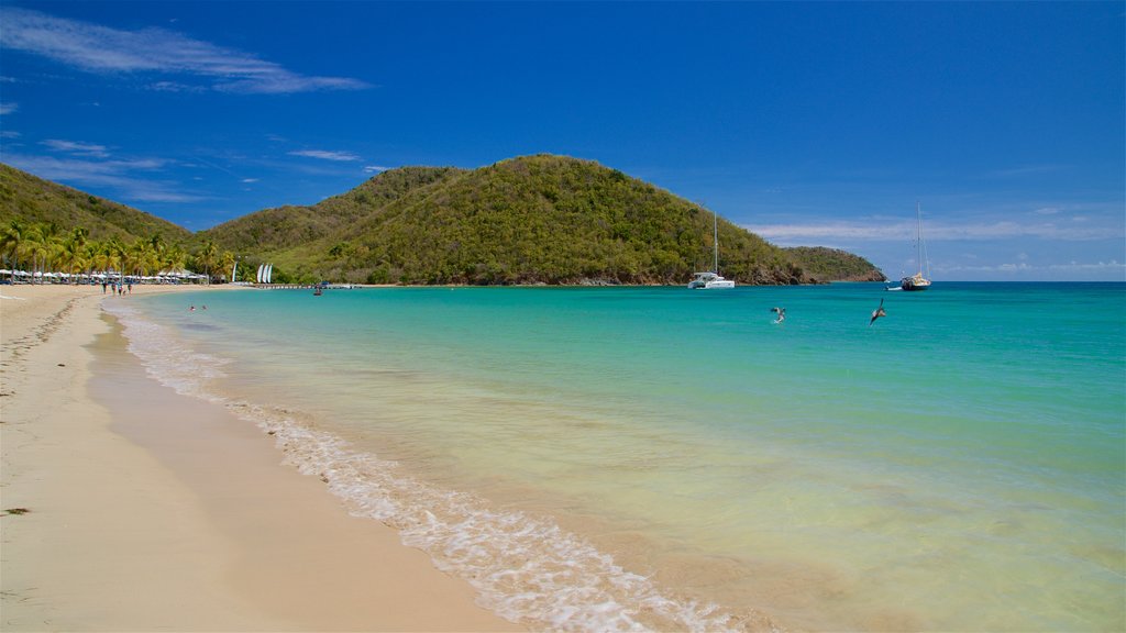 Carlisle Beach showing general coastal views and a beach