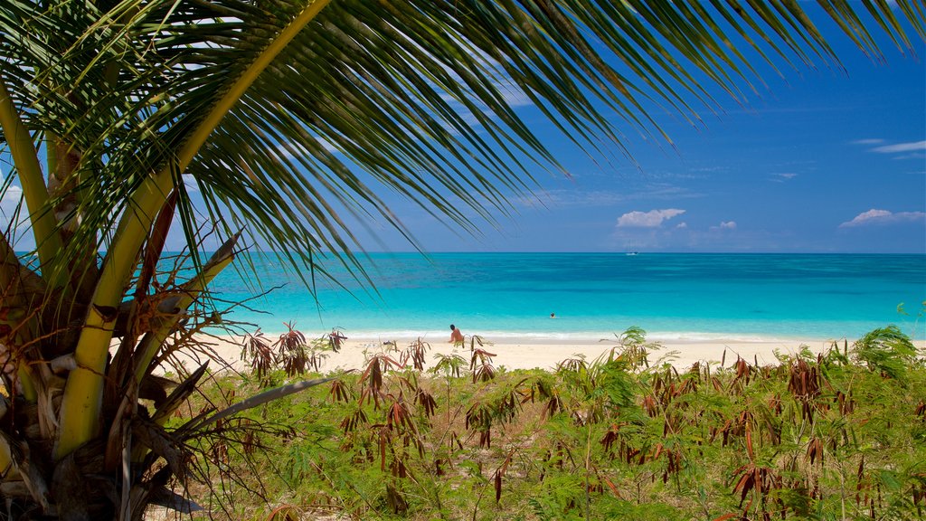 Darkwood Beach which includes a sandy beach and general coastal views