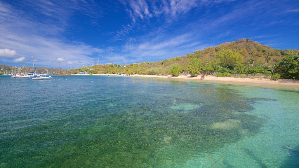 Pigeon\'s Point Beach showing a sandy beach and general coastal views