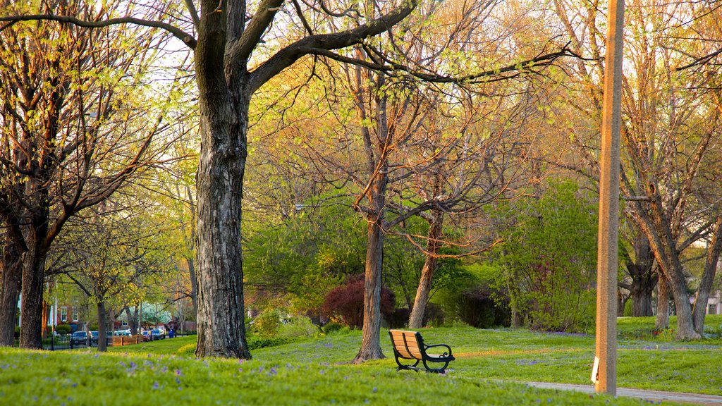 Lafayette Square showing a garden and a sunset