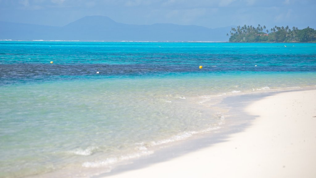 Samoa mostrando escenas tropicales, una playa de arena y vistas generales de la costa