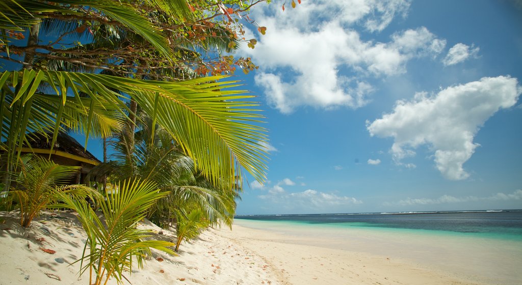 Samoa showing a sandy beach and general coastal views