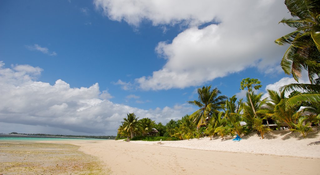 Samoa ofreciendo vistas generales de la costa, una playa de arena y escenas tropicales