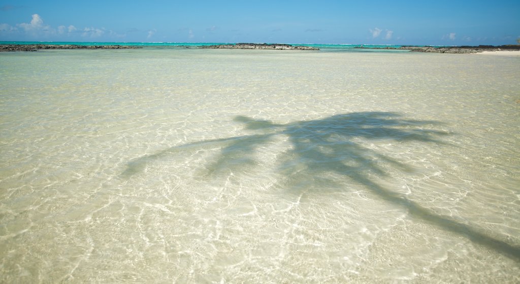 Samoa which includes general coastal views and tropical scenes