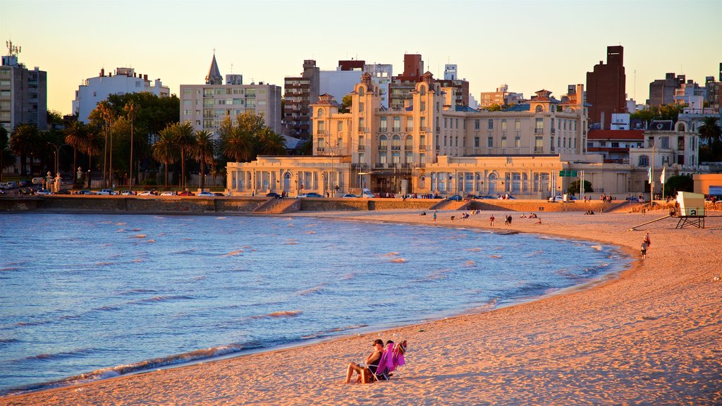 Uruguay showing a sandy beach, a sunset and a city