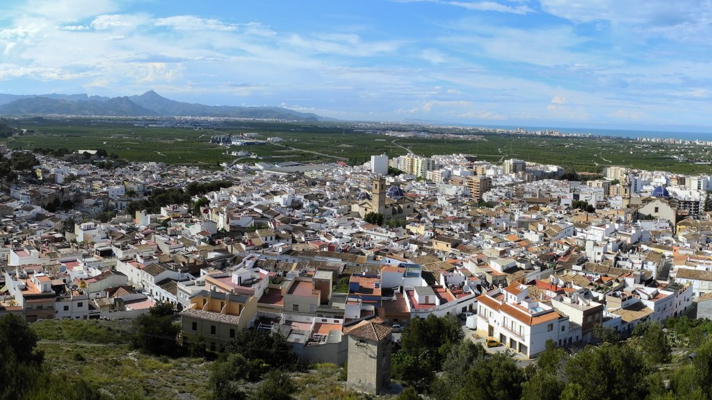 Oliva que inclui paisagem, uma cidade e cenas tranquilas