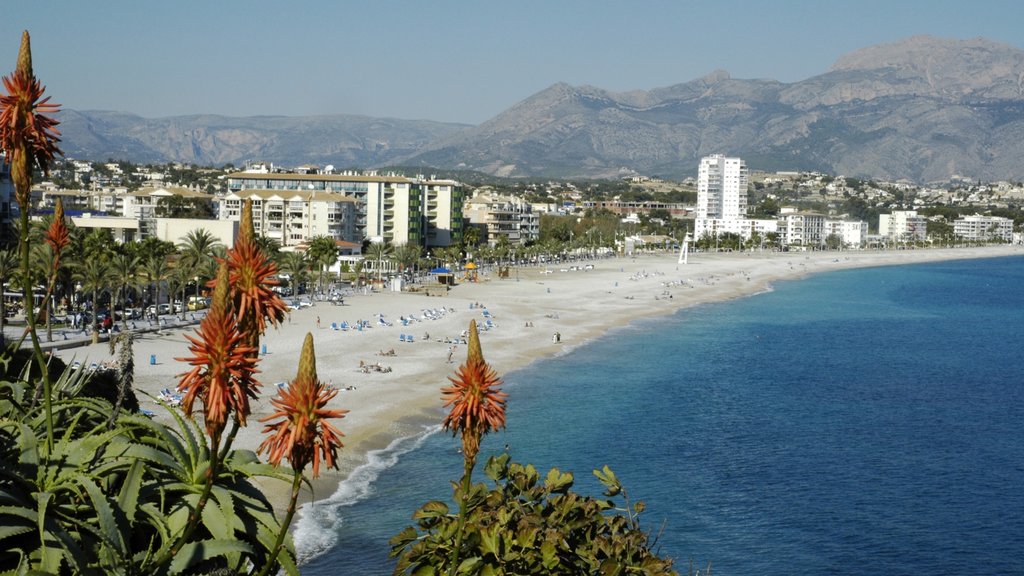 El Albir mostrando uma praia, uma cidade litorânea e flores silvestres