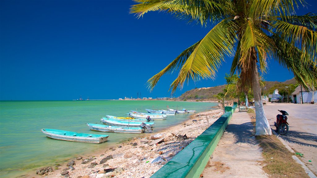 Seybaplaya mostrando escenas tropicales, una playa y costa escarpada