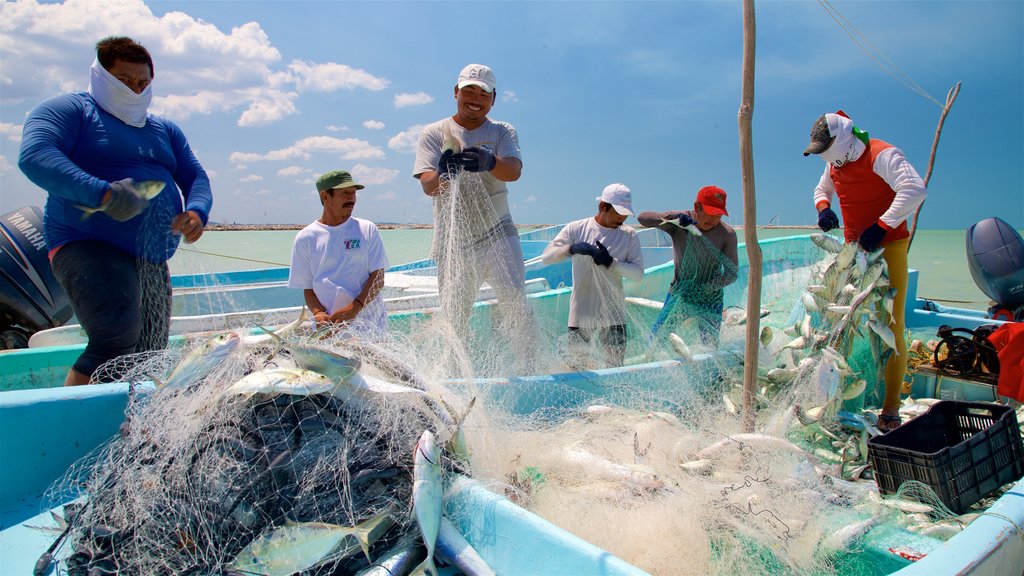 Seybaplaya which includes fishing, general coastal views and boating