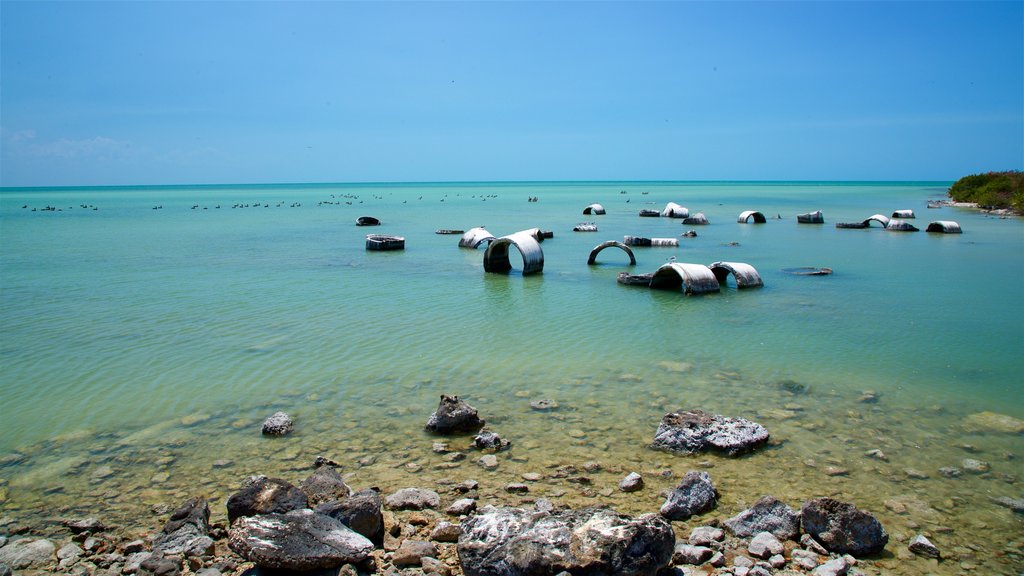 Praia de Siho mostrando paisagens litorâneas