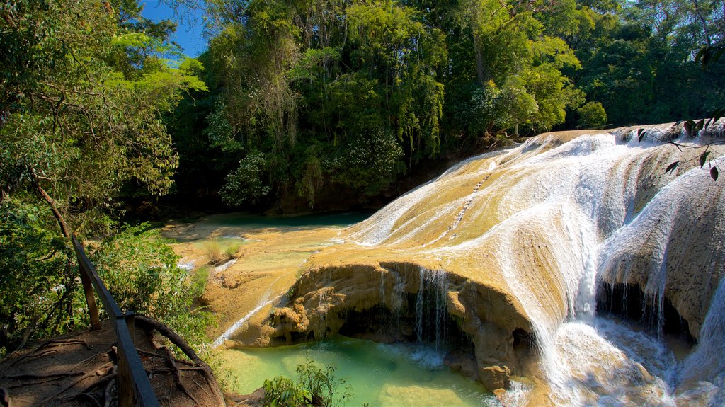 Cascada de Roberto Barrios