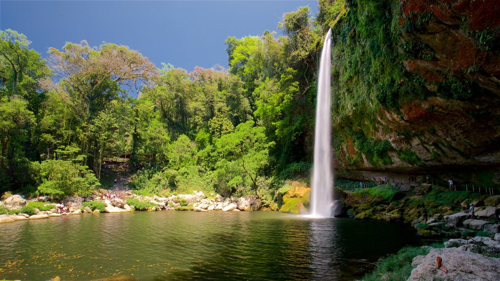 Chutes d\'eau Misol-Ha montrant un lac ou un point d’eau et une cascade