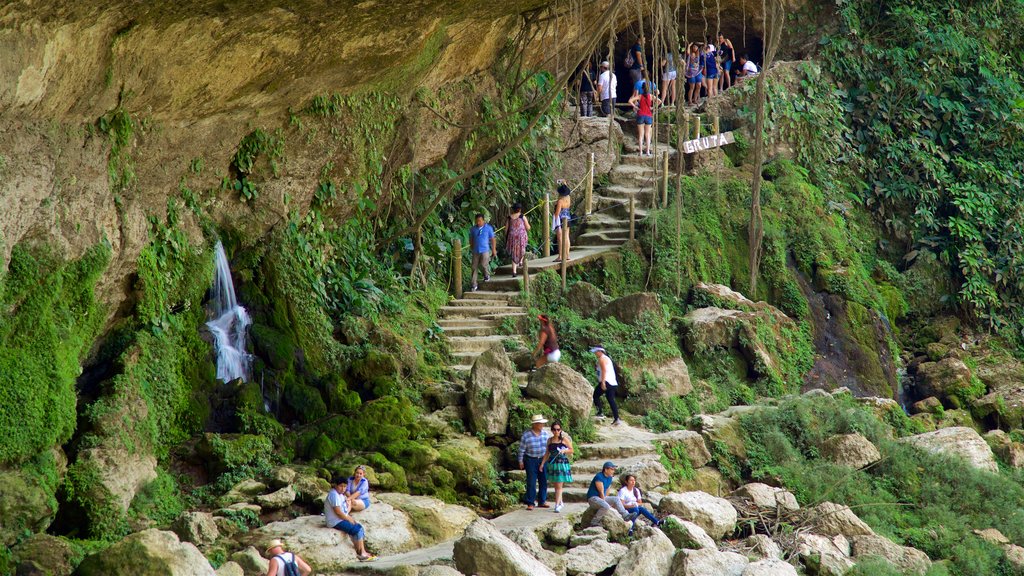 Misol-Ha Waterfalls which includes mountains as well as a small group of people